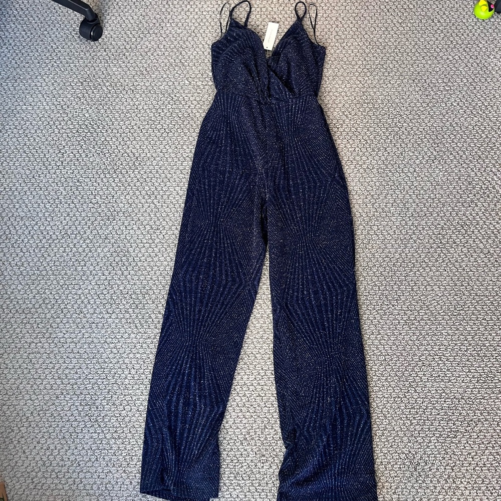 Francesca’s Sparkly Jumpsuit